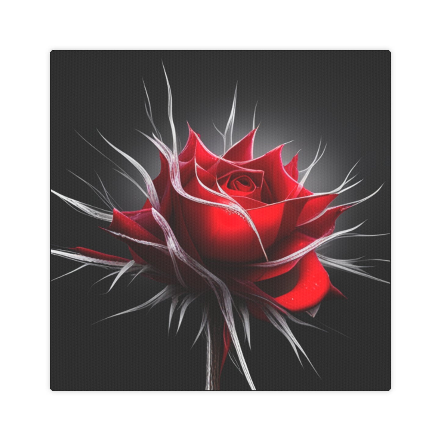 Thorn Rose Canvas