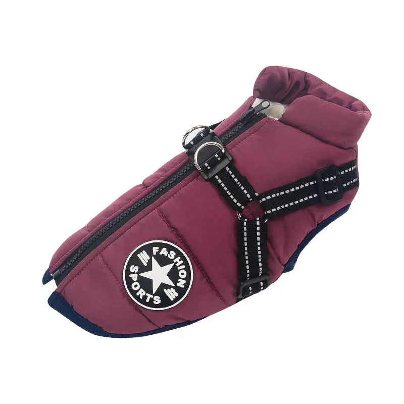 Cozy Pet Coat with Harness