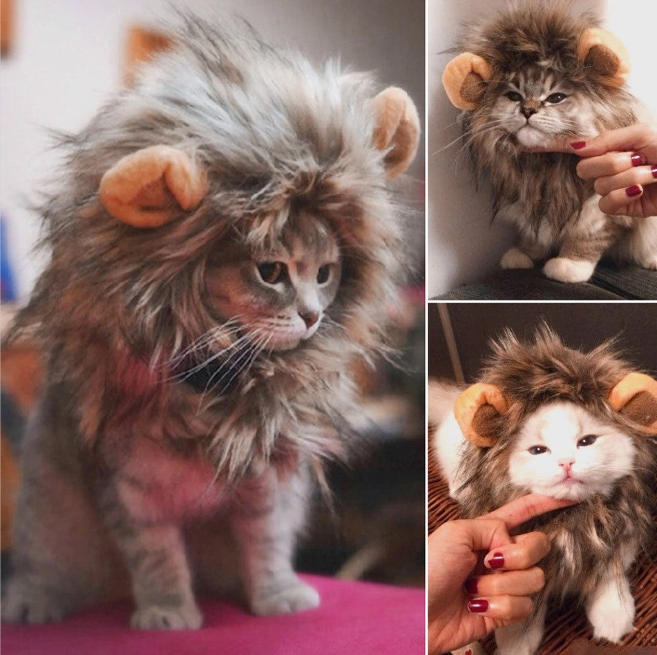 Cat Lion Wig