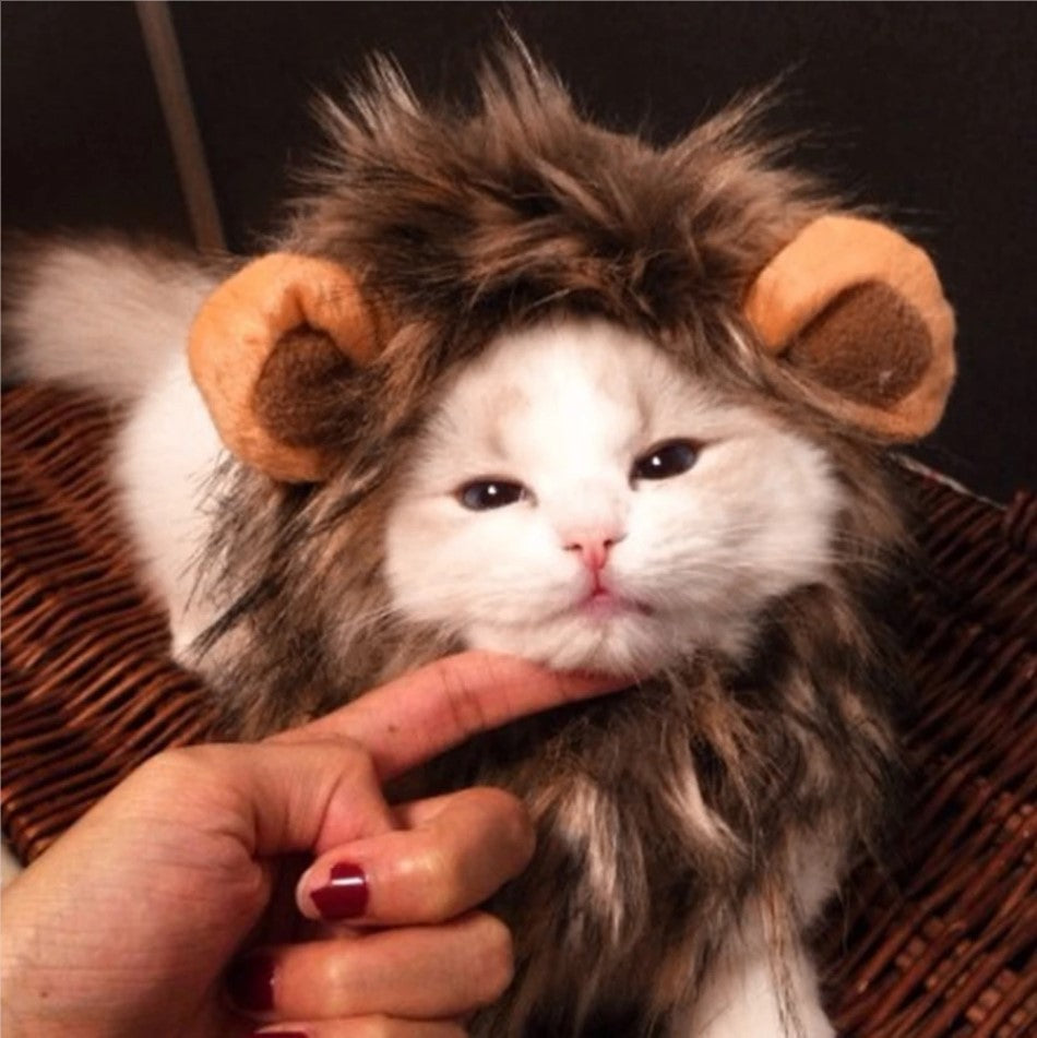 Cat Lion Wig