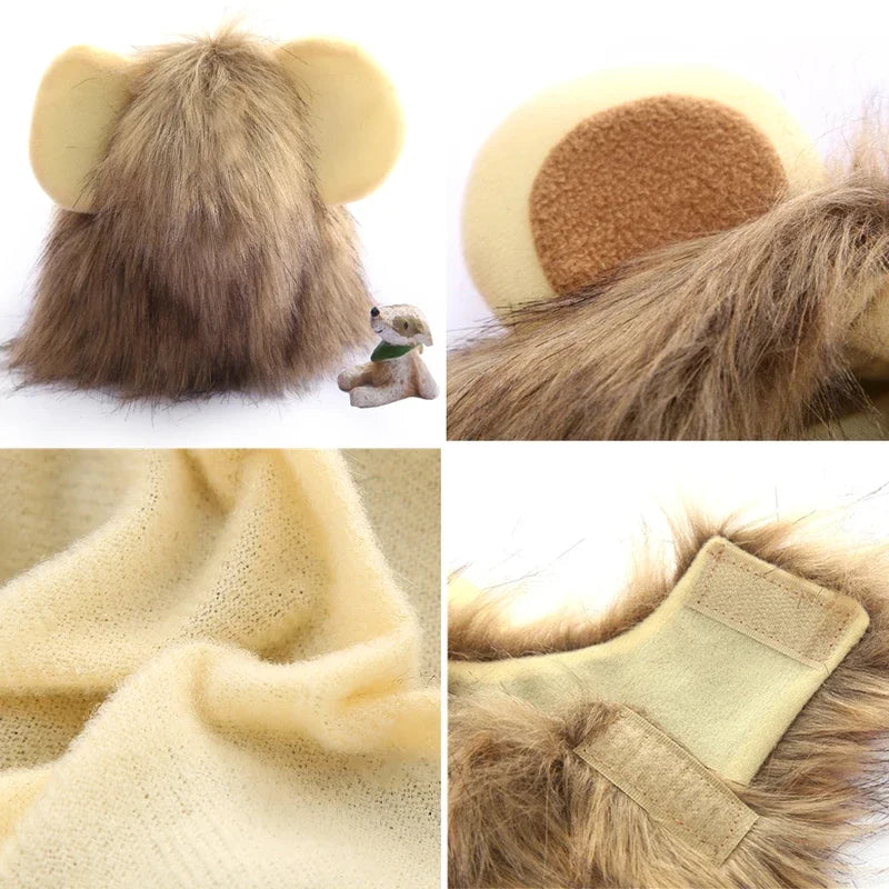 Cat Lion Wig