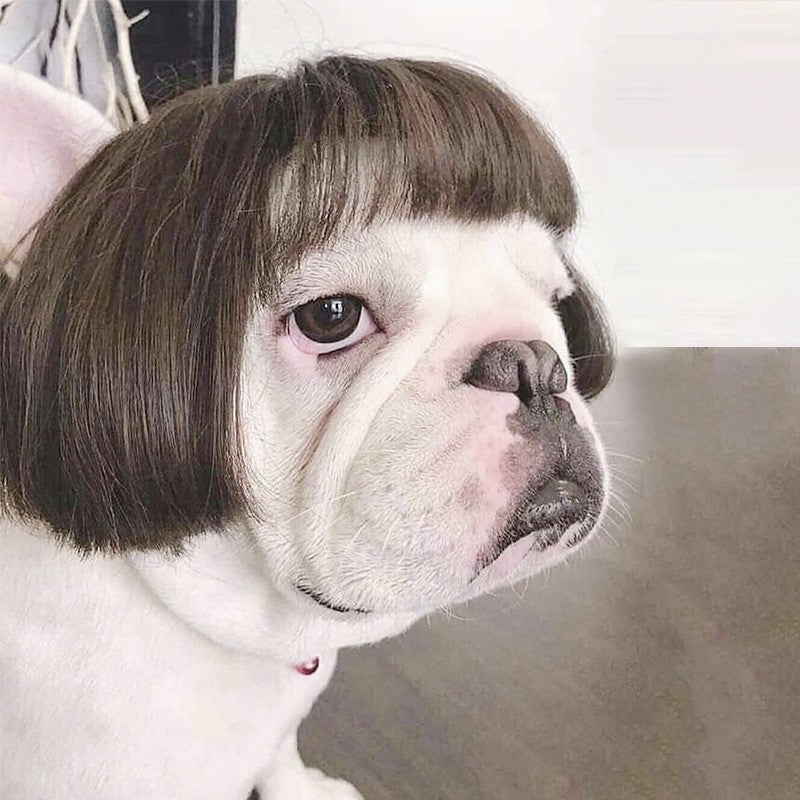 Puppy Hair Style Wig