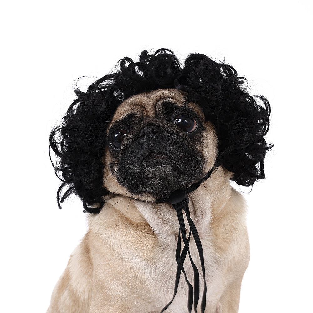 Puppy Hair Style Wig