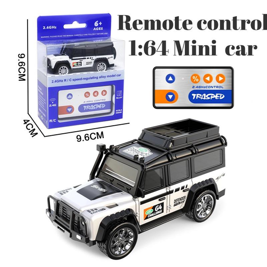 Mini Remote Control RC Truck