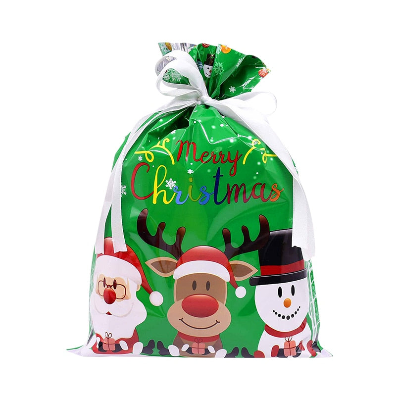 Holiday Gift Bag Packaging