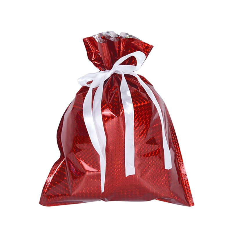 Holiday Gift Bag Packaging