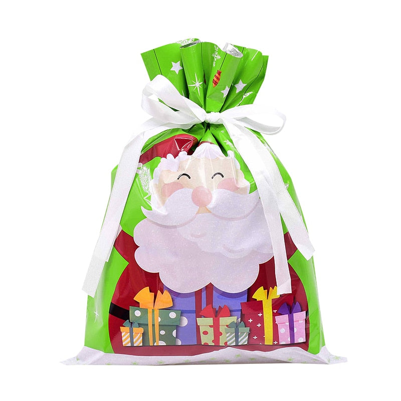 Holiday Gift Bag Packaging