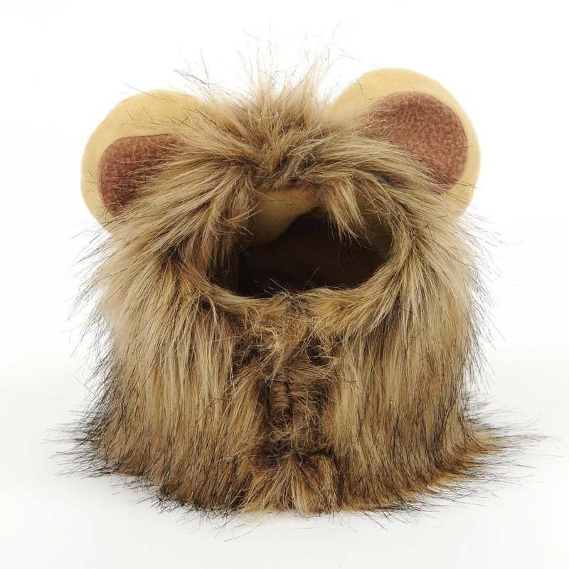 Cat Lion Wig