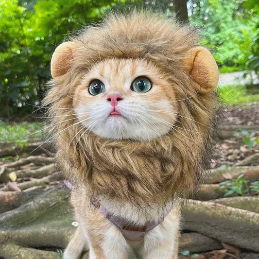 Cat Lion Wig