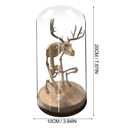 Mysterious Skeleton Fossil Model with Glass Cover