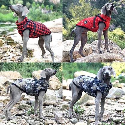 Dog Clothes Waterproof Pet Coat With Harness