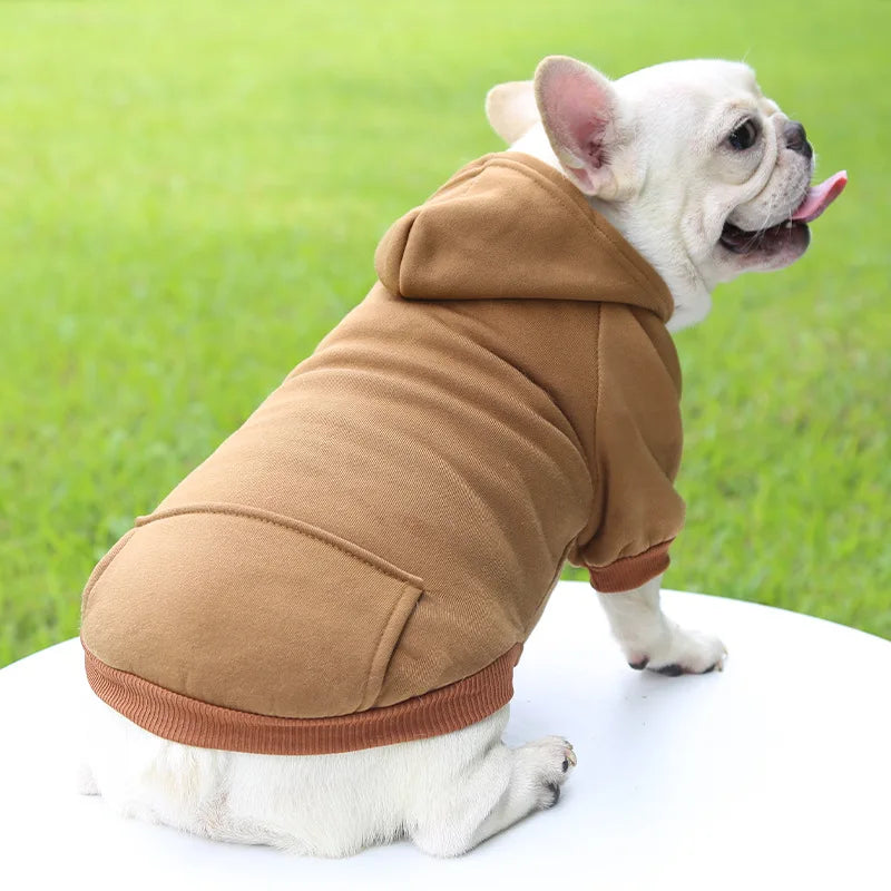 Dog Hoodie w Pocket