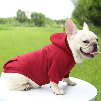 Dog Hoodie w Pocket