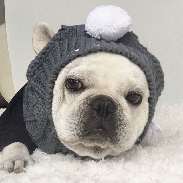 Winter Pet Beanie for Dogs or Cats