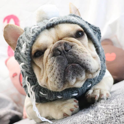 Winter Pet Beanie for Dogs or Cats