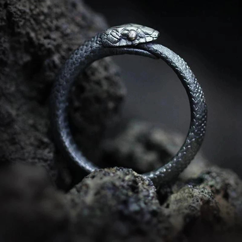 Ouroboros ring stainless steel dark Variant.