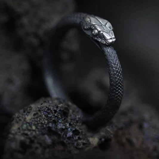 Ouroboros ring stainless steel dark Variant.